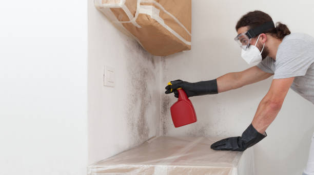 Professional Attic Mold Removal technician working in Raleigh, NC