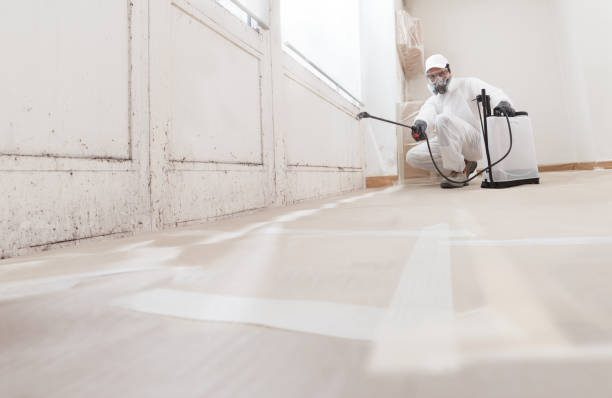 24/7 Emergency Attic Mold Removal experts in Raleigh, NC